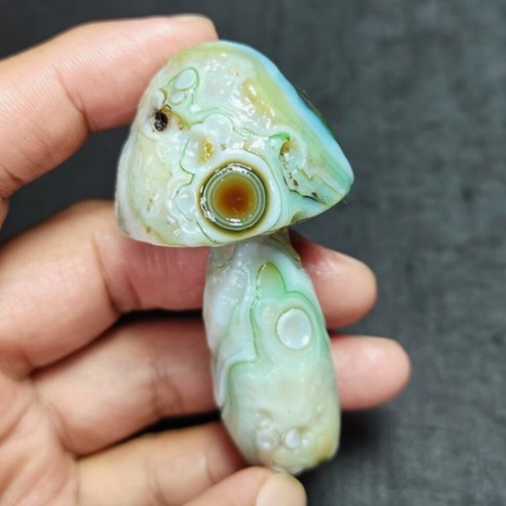 TOP 71.2 G Natural Gobi Agate Eyes Agate/stone Mushroom Madagascar